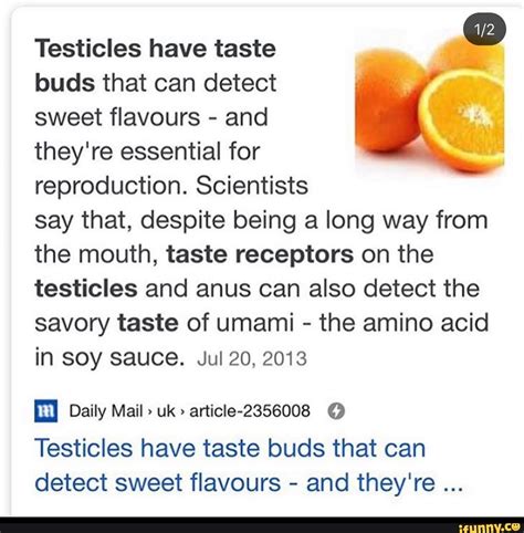 does your asshole have tastebuds